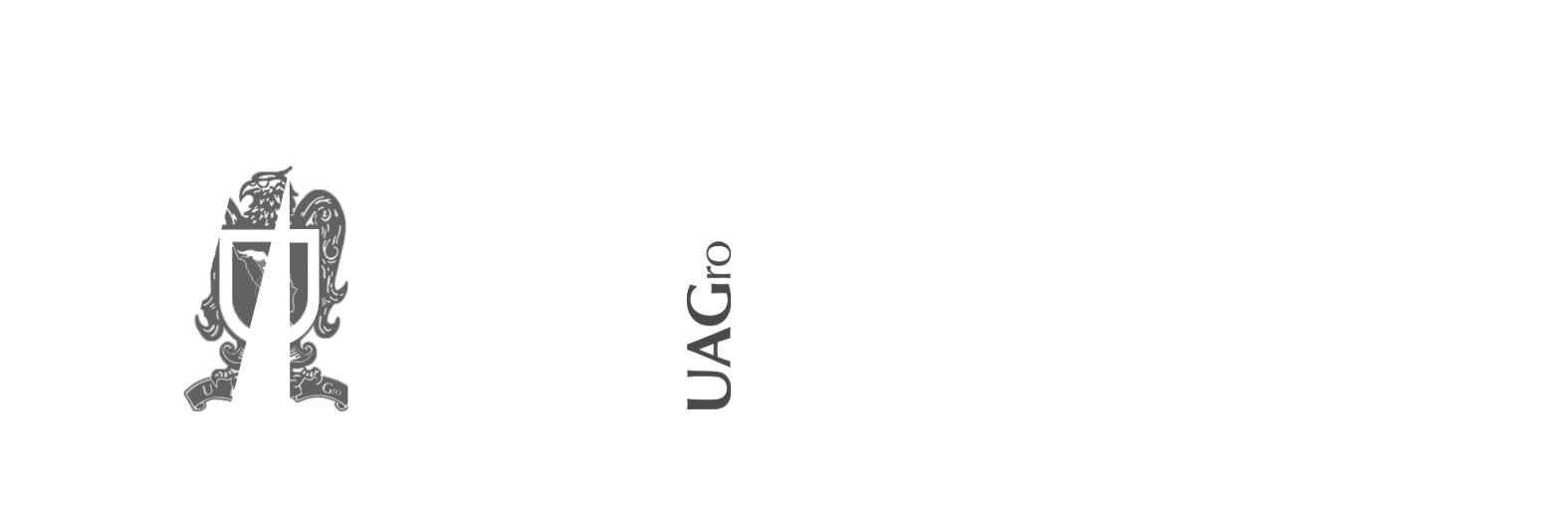 Maestría en Tecnologías de la Información
